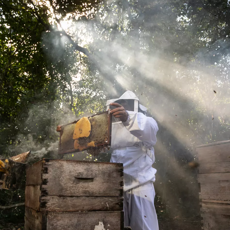 mexico_beekeeper_950x950